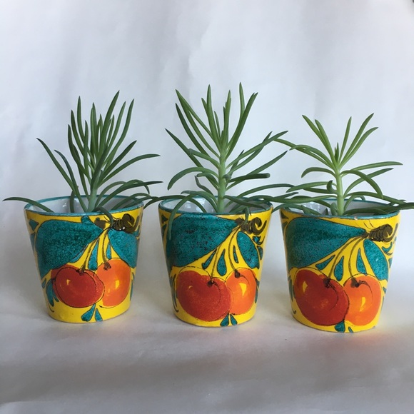 3 Mini Vintage Planter Pots Italy Majolica Painted Cherries Handmade Yellow Red - Picture 3 of 15